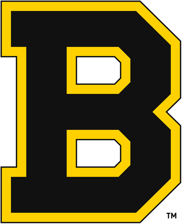 Boston Bruins 1934-1949 Primary Logo iron on transfers for clothing